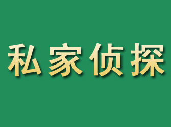 文山市私家正规侦探